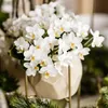 Kolibri Orchids Bílá orchidej Phalaenopsis – Nazaré – Náhled obrázku produktu 3