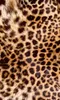 Fototapete - Leopard Skin 150x250cm - Vliestapete Produktbild-Vorschau 1