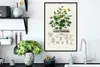 MuchoWow® MuchoWow® Gerahmtes Poster Pflanze - Blume - Produktbild-Vorschau 3