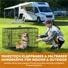 A woman is interacting with a dog in a kennel outdoors, with a camper van in the background. Podgląd zdjęcia produktu