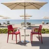 Paris Arm Grand Soleil Chaises en polypropylène avec Voir les images du produit 2