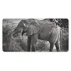 MuchoWow® Mauspad Mousepad Elefant - Tiere - Bäume - Produktbild-Vorschau 1