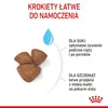 Marketing image showing kibble and text describing benefits for pregnant/nursing dogs and puppies. Produktbild-Vorschau