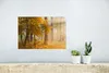 MuchoWow® Poster Licht - Bäume - Laub 30x20 cm - Plakate - Produktbild-Vorschau 5