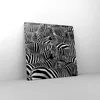Bild auf Leinwand - Leinwandbild - Tiere Zebra Streifen - Produktbild-Vorschau 4