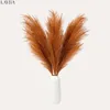 Layba Künstliches Pampasgras Deko in Terracotta Boho - 3 Produktbild-Vorschau 5