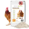 reine Kieselgur 10kg Diatomeenerde für Hühner Pulver Produktbild-Vorschau 1