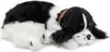 Perfect Petzzz 96422 Kokršpaněl Náhled obrázku produktu 2