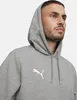Puma teamGOAL Casuals Felpa con cappuccio - grigio, Anteprima dell’immagine prodotto 3