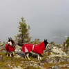 Hurtta Extreme warmer, Hund, Jacke, Grau, Rot, Winter, 600 Produktbild-Vorschau 4