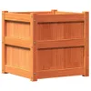 vidaXL Pflanzkübel Wachsbraun 50x50x50 cm Massivholz Kiefer Produktbild-Vorschau 1