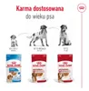 Royal Canin Medium Adult 20x140g Nassfutter in Soße für Produktbild-Vorschau 7