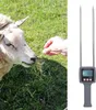 A sheep eating grass from a person's hand, next to a hay moisture meter. Podgląd zdjęcia produktu