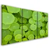 Triptychon auf leinwand natura grün 150x100 cm Feeby grün Produktbild-Vorschau 1