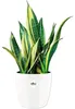 elho brussels Diamond Rund 18cm Übertopf - weiss Produktbild-Vorschau 8