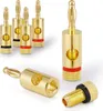 A collection of gold-plated banana plugs, some with red or black bands, arranged on a white background. Produktbild-Vorschau