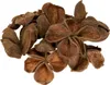 Landlotus Natur 50 St - Trockenfloristik Deko für Produktbild-Vorschau 3