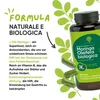 RedMoringa Moringa Kapseln Hochdosiert - 90 Vegane Kapseln Produktbild-Vorschau 7
