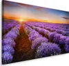 Fabelhafte Canvas LEINWAND BILDER 70x50 cm XXL Kunstdruck Produktbild-Vorschau 1