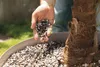 LECHUZA-Pflanzsubstrat PALMPON 12 Liter | für Palmen und Produktbild-Vorschau 3
