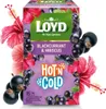 Loyd Hot’N Cold - Porzeczka i Hibiskus - Ekspresowa Herbata Podgląd zdjęcia produktu 8