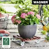Wagner 200-87001 Multirol. GIGANT 45x45cm TK 250kg, marron Voir les images du produit 4
