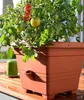 Plastia Pflanzenkübel Bergamot, Blumentopf mit Produktbild-Vorschau 5