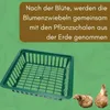 12er Set Pflanzkörbe für Blumenzwiebeln Pflanzschalen Produktbild-Vorschau 5