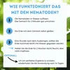 Futeco® – HB-Nematoden gegen Dickmaulrüssler & Engerlinge – Produktbild-Vorschau 4