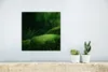 MuchoWow® Poster Moos - Stein - Wald 30x30 cm - Wandposter Produktbild-Vorschau 5