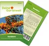 Sanddorn  Samen - Hippophae rhamnoides - Sanddornsamen - Produktbild-Vorschau 1