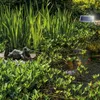 A garden pond with a frog statue and lush greenery, featuring a solar panel. Produktbild-Vorschau