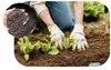 Gemüseerde 20 l - Hochwertig - Nährstoffreich - Für Garten Produktbild-Vorschau 7