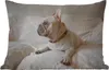 MuchoWow® Outdoor Kissen - Französische Bulldogge - weiß - Produktbild-Vorschau 1