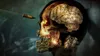 Rebellion Zombie Army 4 : Dead War, PlayStation 4, M Produktbild-Vorschau 5
