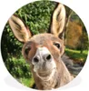 MuchoWow® - Schlafzimmer - Bilder - Der Kreis - Kunst für Produktbild-Vorschau 1