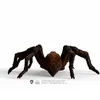 Hračka Schleich Harry Potter - Aragog Anteprima dell’immagine prodotto 13