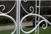 CLP Rozenboog met poort Melissa - Kleur: wit Productafbeelding-voorbeeld 10