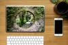MuchoWow® Laptop Aufkleber Sticker Cover Wald - Steine - Produktbild-Vorschau 2