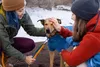 Ruffwear Climate ChangerTM Fleece Jacket, Farbe:Blue Jay, Produktbild-Vorschau 16
