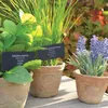 Esschert Design Kunst-Schnittlauch in AT Topf L; AH006 Produktbild-Vorschau 6