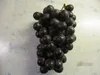 Vitis vinifera Venus Uva senza semi Venus Anteprima dell’immagine prodotto 3