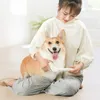 Xiaomi Pawbby Haustiere Haarschneider Hund Katze Rasierer Produktbild-Vorschau 3
