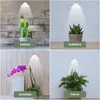 SUNLiTE 7W LED lampada per piante bianche da interno, con Anteprima dell’immagine prodotto 15