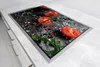 Piastre copriforno 2 pezzi 75x52 Vetroceramica copriforno Anteprima dell’immagine prodotto 6