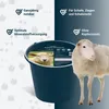 PANTO-Lick Schaf KupferFrei Mineralleckschale L92 - Produktbild-Vorschau 2