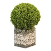 Gabione Pflanzkorb Montana Größe M, Stahl, 40x45,5x32,5 cm Produktbild-Vorschau 1
