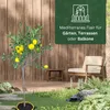 Meine Orangerie Yuzu Baum- Citrus Junos - 110-130cm - Produktbild-Vorschau 5