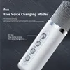 Outdoor ktv Sound Set mit dualem drahtlosem Mikrofon Produktbild-Vorschau 6