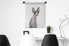 MuchoWow® Wandteppich Wandbehang Überrascht Sphynx auf Produktbild-Vorschau 4
